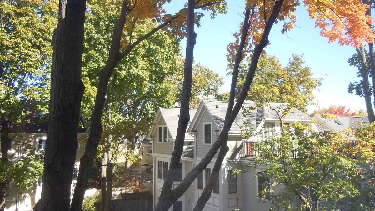 Mid-Cambridge Apartment | Harvard Square!