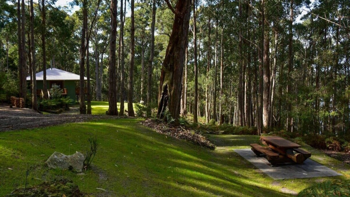Hastings House | Hastings Bay Retreat – Idyllic Forest Hideaway!