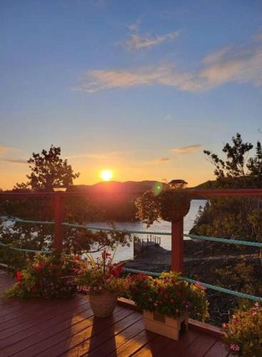 Newfoundland House | Hatchet Harbour Vacation Home
