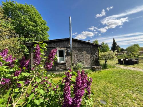 Joachimsthal Apartment | Haus 8 am Grimnitzsee mit Sauna