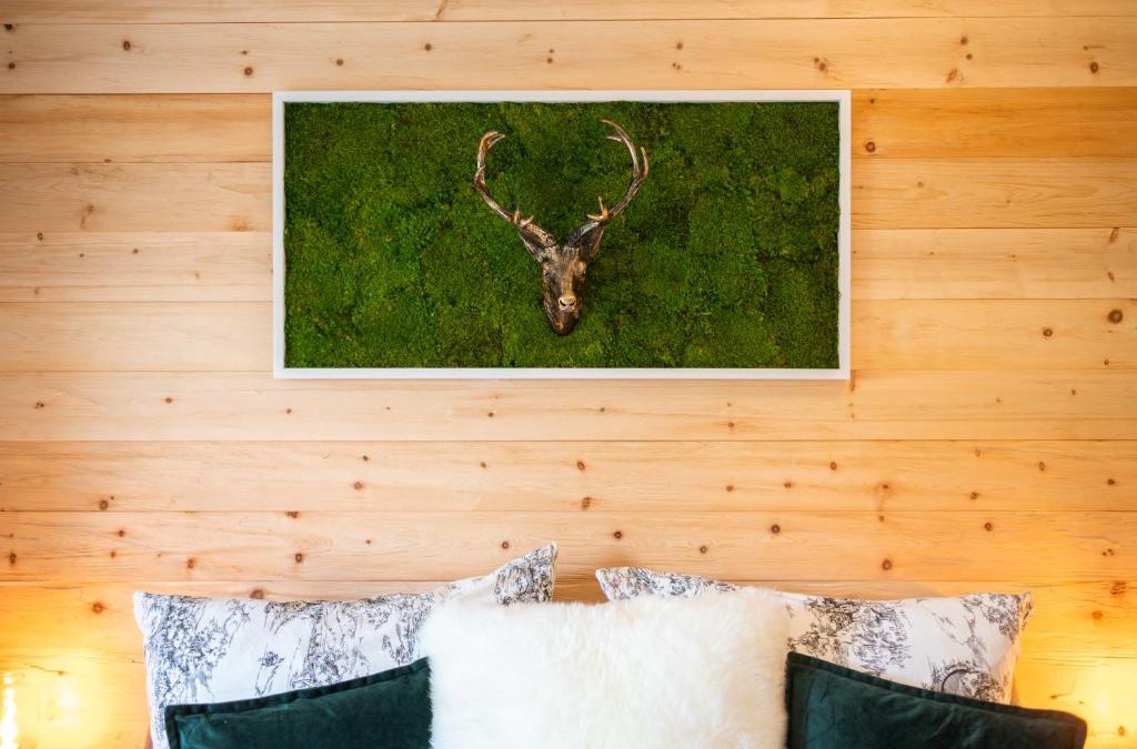 Prossen House | Haus am Wald