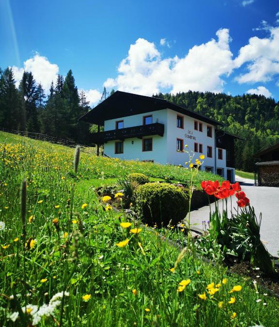 Steinberg am Rofan Apartment | Haus Gamssprung