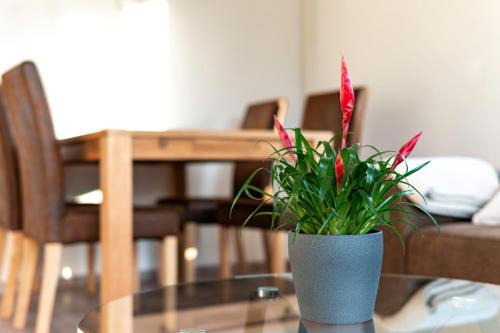 Bullay Apartment | Haus Hanghuhn