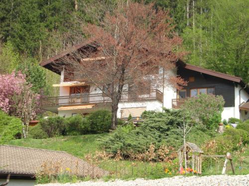 Golling an der Salzach Apartment | Haus Margrit Ferienwohnung in Sonnenlage