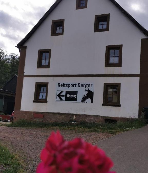 Homburg Apartment | Haus Monika