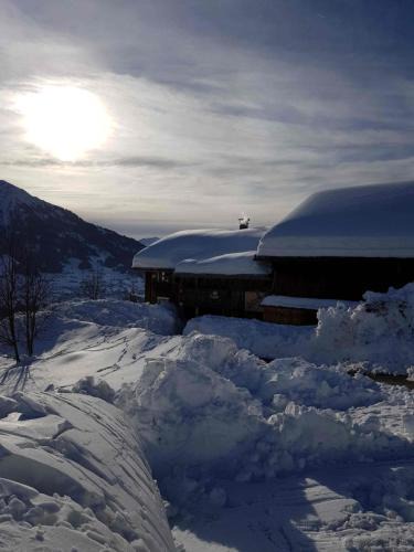 Blons House | Haus Mura