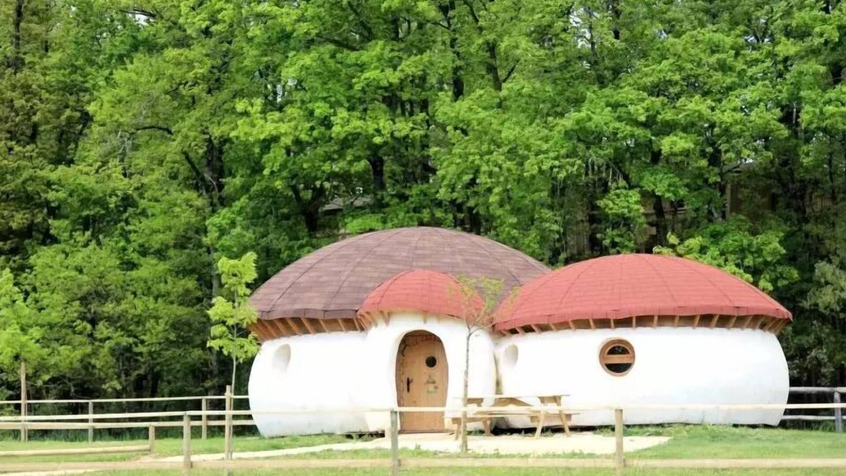 Dienne Cabin | Haus Pilze 2 Schlafzimmer 6 Personen