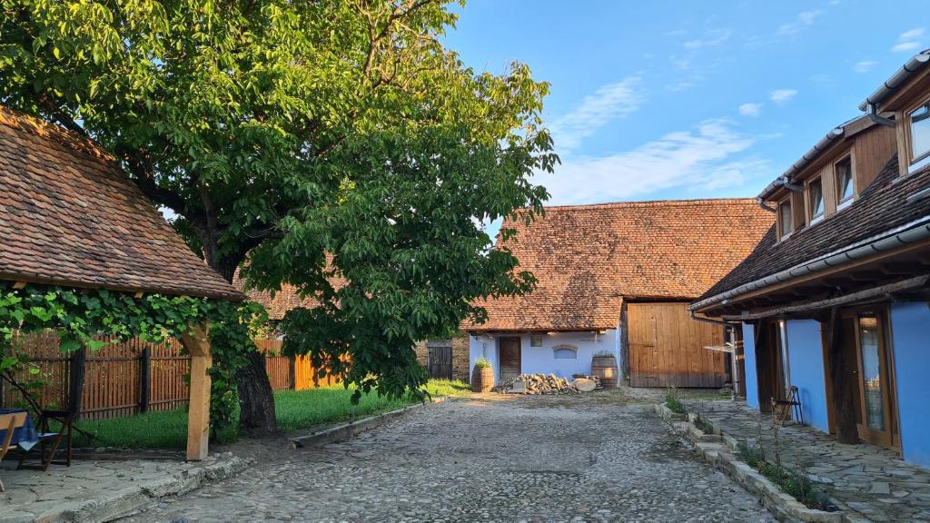 Bunesti House | Haus Rether - Transylvanian Guesthouse