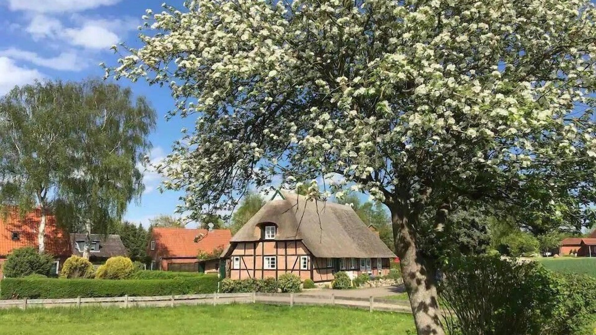 Schmiedendorf House | Haus Ruhe unter Reet