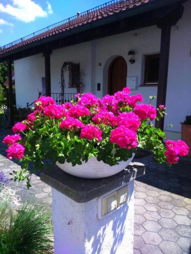 Eriskirch Apartment | Haus Säntisblick