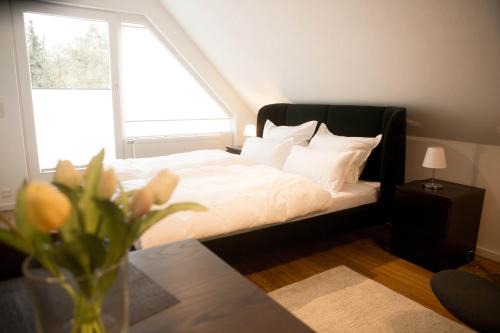 Bad Rothenfelde Apartment | Haus Salinen Bad Rothenfelde