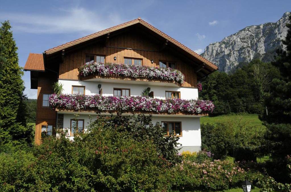Steinbach am Attersee Apartment | Haus Stückler