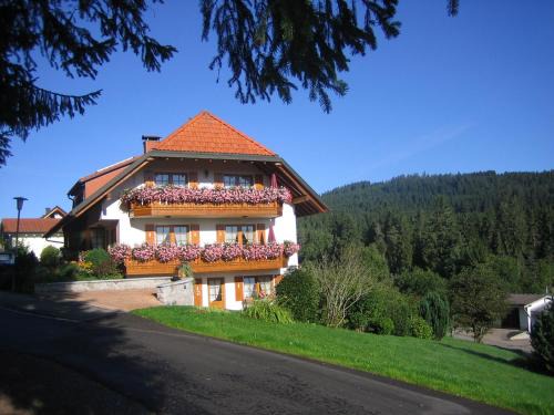 Schluchsee Apartment | Haus Waldvogel