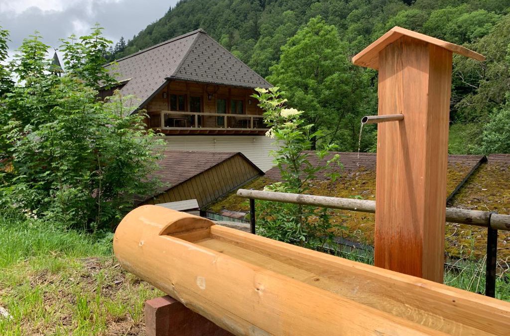 Todtnau Apartment | Haus Wiesengrund-Fahl - FeWo 4