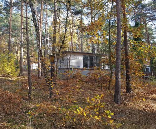 Kolberg House | HausMeise