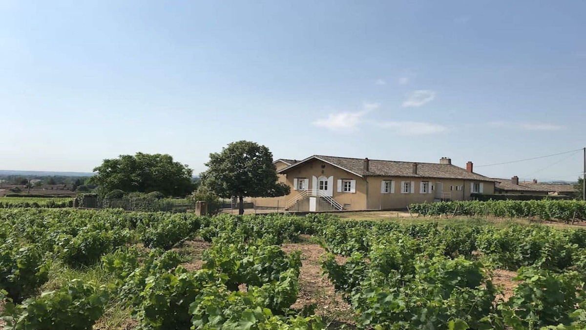 Charentay House | Haut oak cottage in the heart of the Beaujolais vineyard