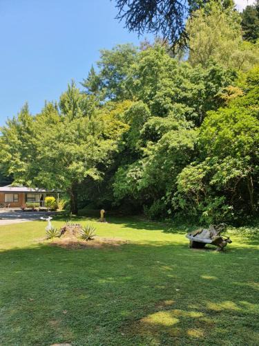 Havelock Hotel | Havelock Garden Motel