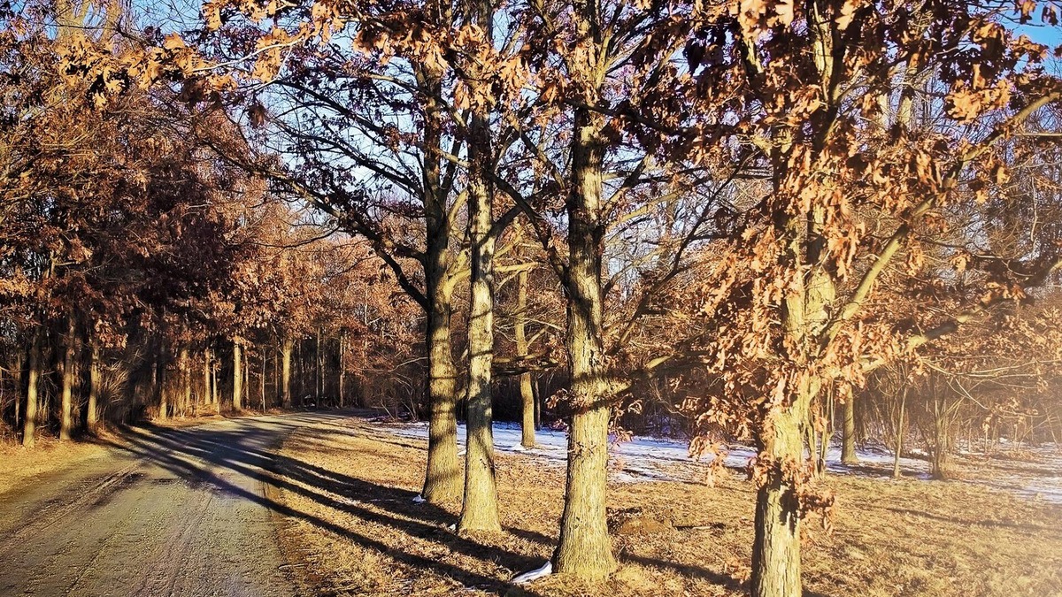 Noblesville Cabin | Haven in the City