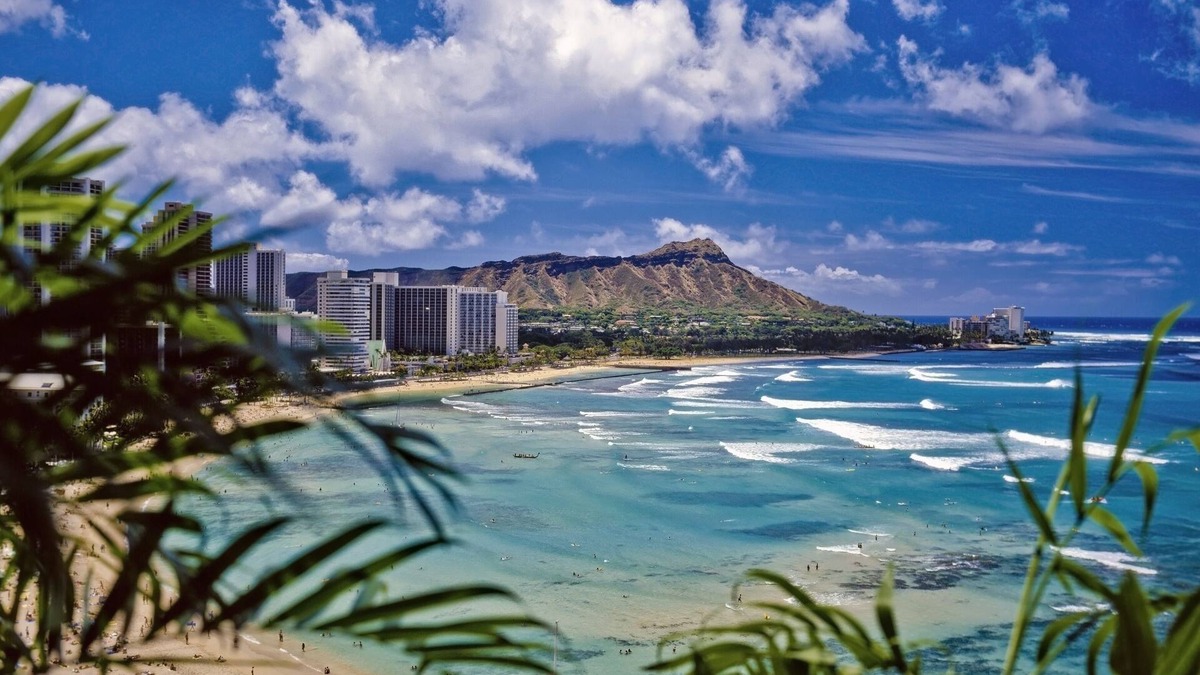 McCully - Moiliili Condo | Hawaiian Monarch 805 Condo by RedAwning