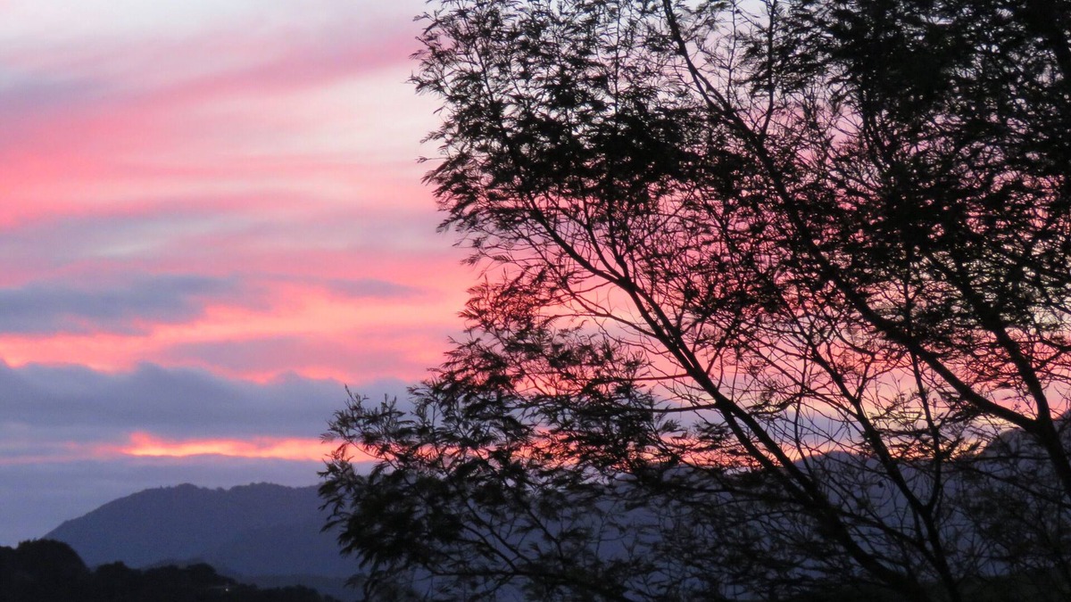 Whirinaki Bed & Breakfast | Hawksview - Rural Outlook andamp; Harbour Views with fireplace