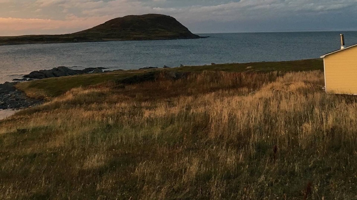 Saint Lunaire-Griquet Cabin | Hay Cove Cottages - Cozy Seaside Cabin with Ocean View