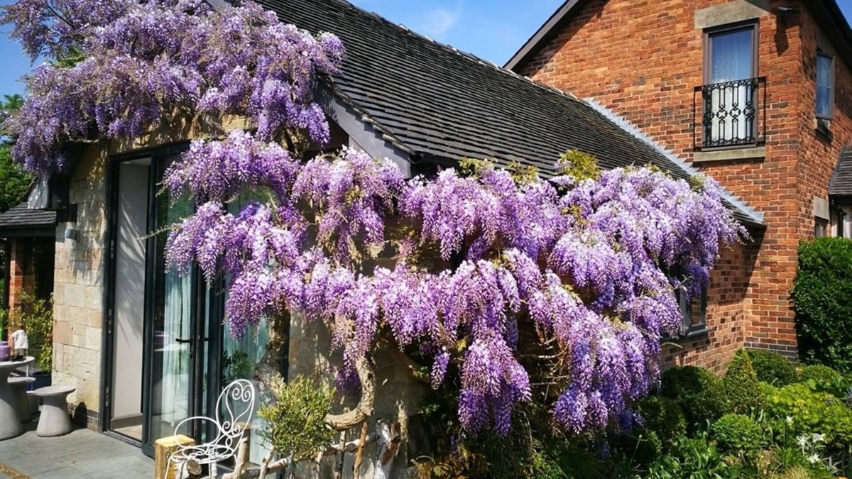 Stanley Common House | Hayeswood Lodge Luxury Accommodation