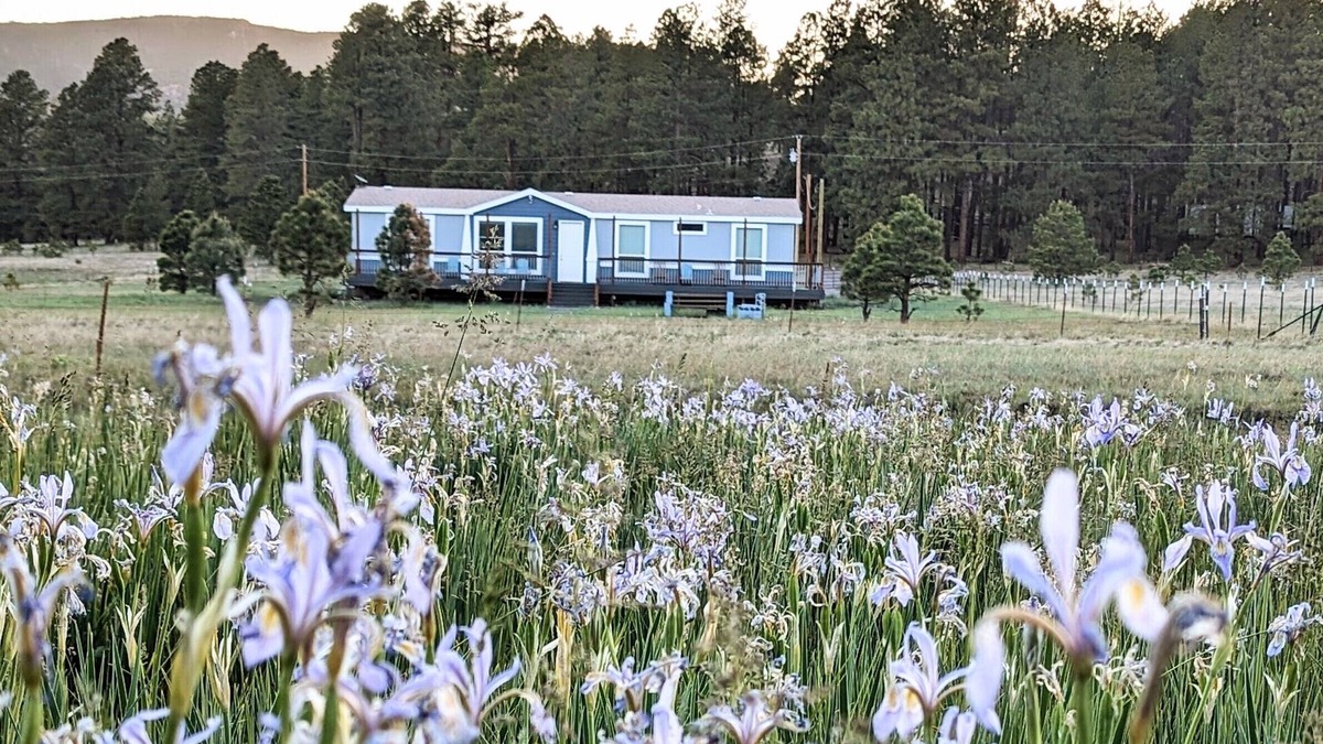 Alpine House | Hays Hideaway