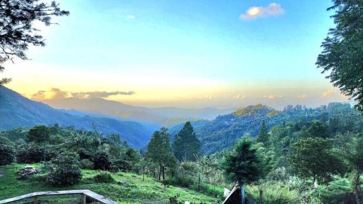 Gordon Town Cabin | HeadBack Hiking Lodge - Blue Mountain Peak