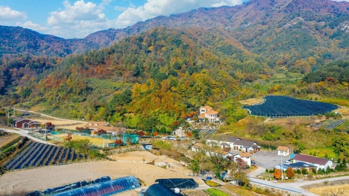 Muju House | Healing Resort Maple Village hue