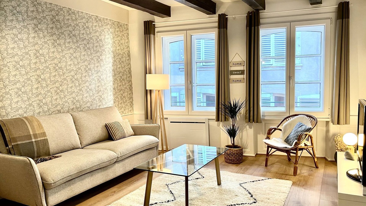 Petite-France Apartment | Heart of Strasbourg-Great Apartment in Petite France