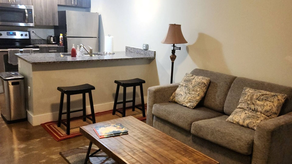 Monroe Ward Condo | Heart of the Arts - New King Suite on West Broad Condo’s next to Quirk MCV VCU