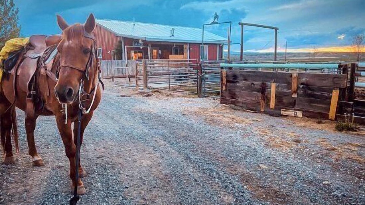 Cody Apartment | Heart Strings Ranch- Nestled on the Eastern flanks of Heart Mountain, near horses!