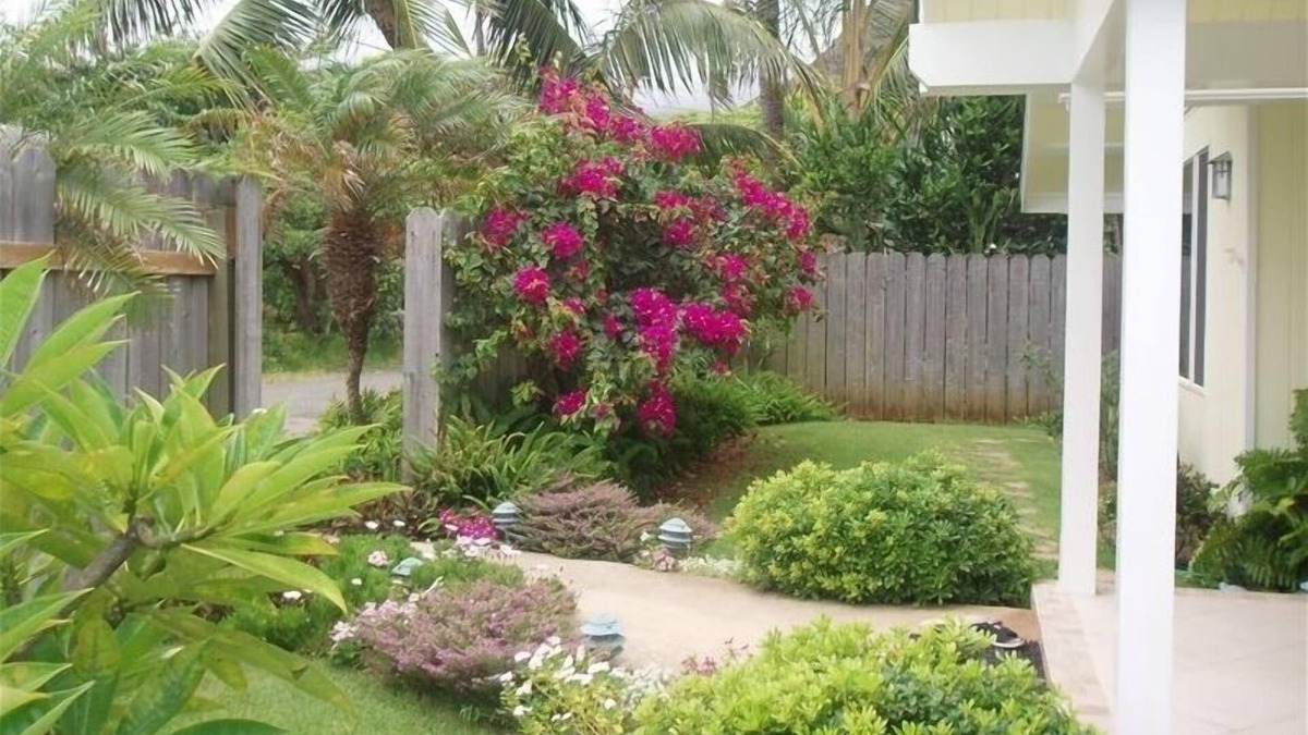 Hauula Apartment | Heavenly Hawaii at your feet! Sandy toes, great swimming, lovely place awaits.