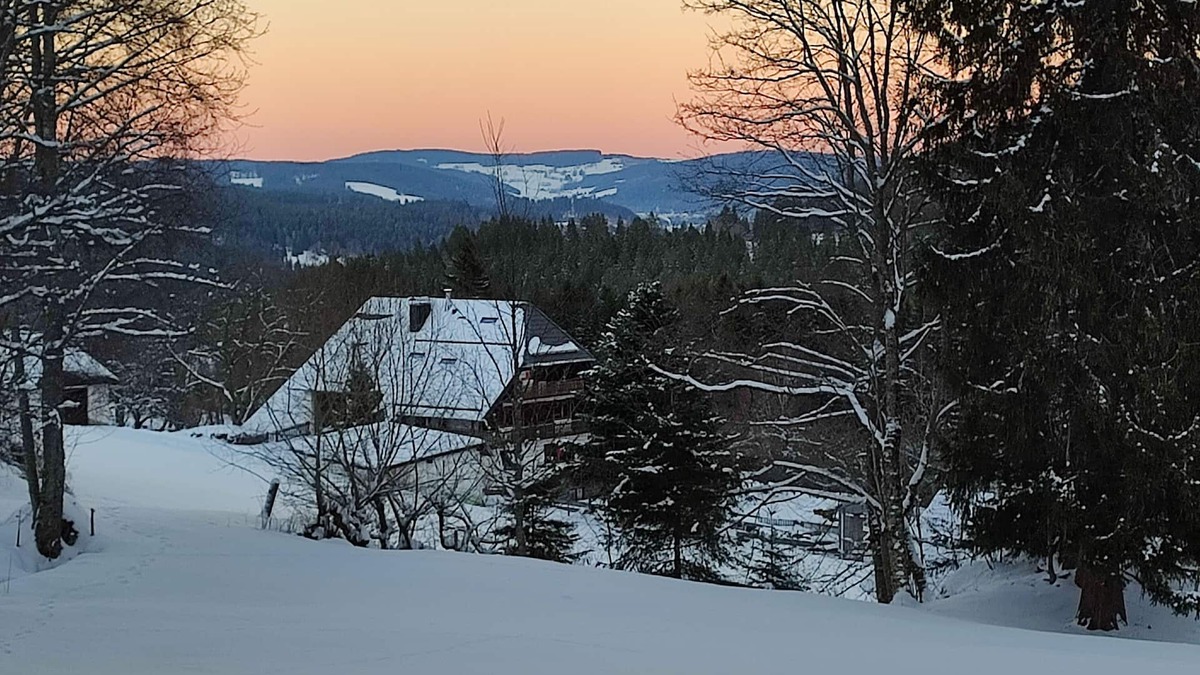 Feldberg Apartment | Heavenly nature 2 - 2-room apartment ground floor in Black Forest style between Titisee and Schluchsee