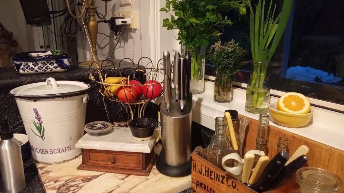 Hedley Other | Hedley Gardens 4 acre permaculture property
