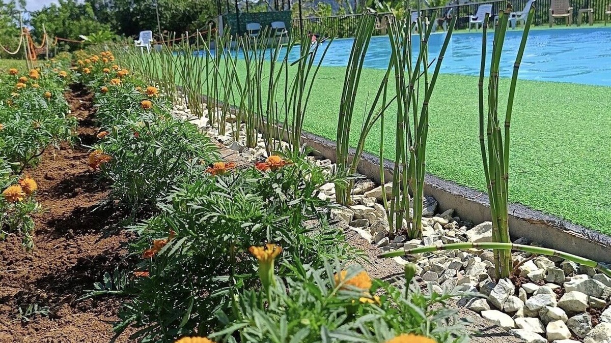 Arakan Resort | Helens Mountain Resort