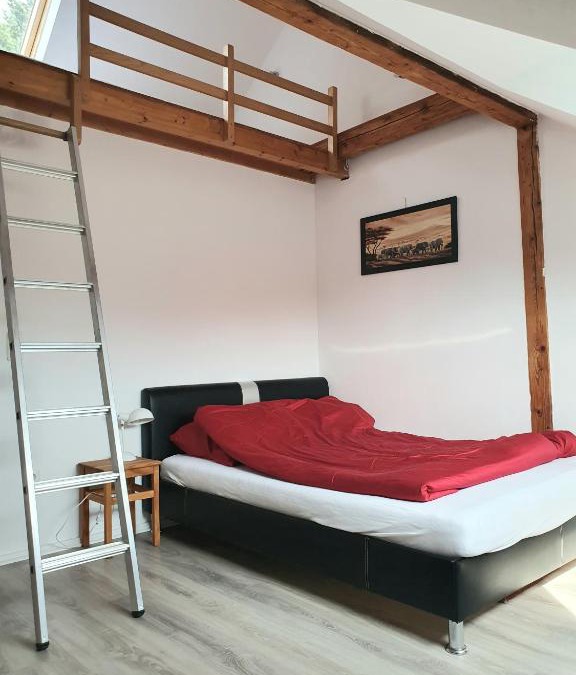 Osnabrueck Apartment | Helle, moderne Altbauwohnung in Zentrumsnähe