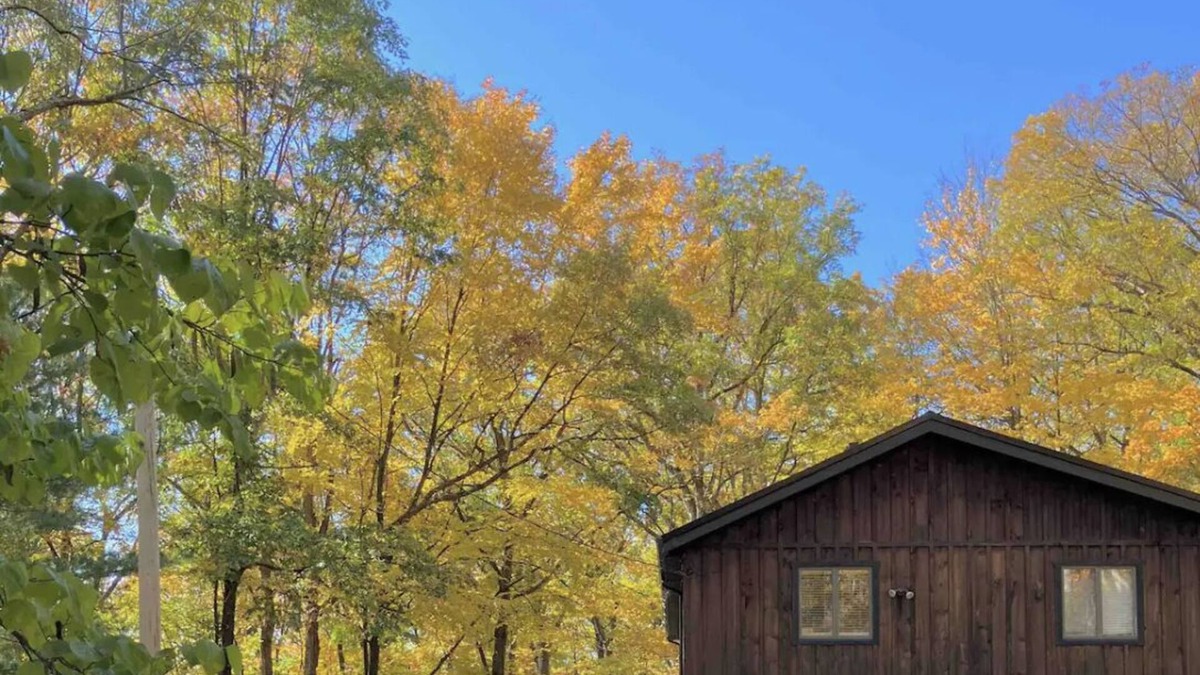 Mill Hall Cabin | Hemlock Haven,Hot-tub,Private,30 min to Penn State