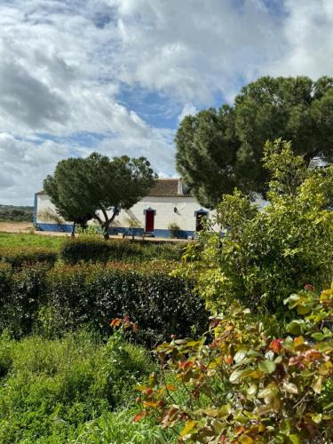 Fronteira House | Herdade das Pintas