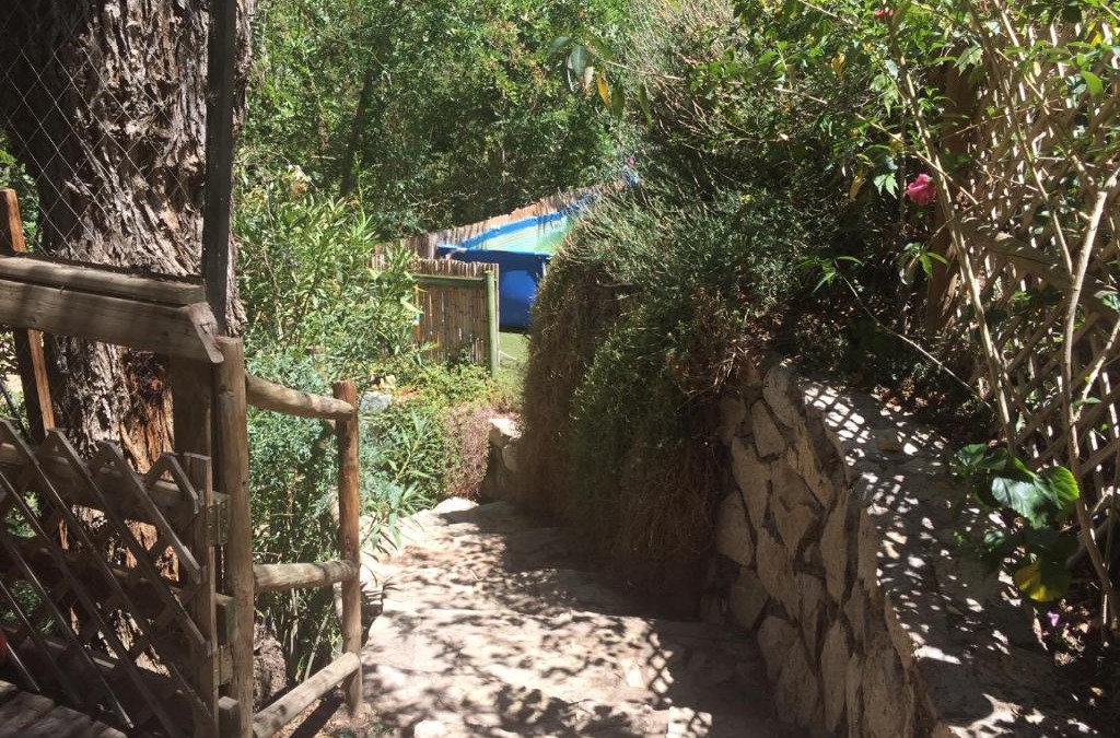 Pisco Elqui House | Hermosa Casa Pisco Elqui
