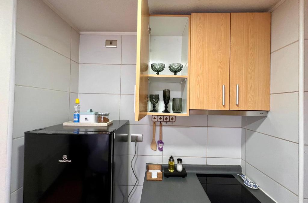 Concepcion Apartment | Hermoso departamento en parque urbano 1