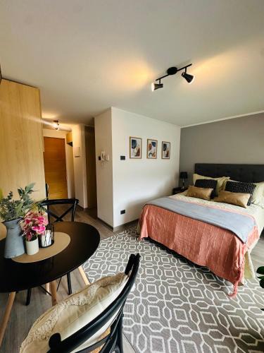 Concepcion Apartment | Hermoso Estudio