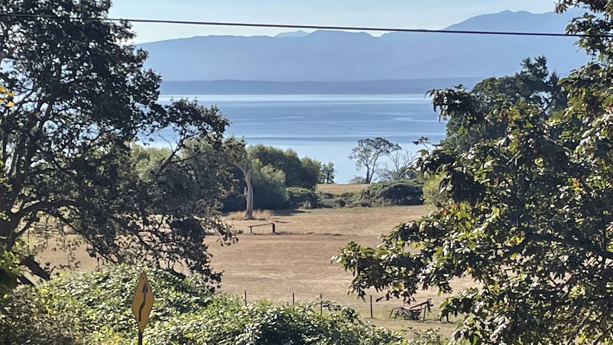 Hornby Island Apartment | Heron Rocks Lookout: Ocean view studio and patio 10 min walk to beach