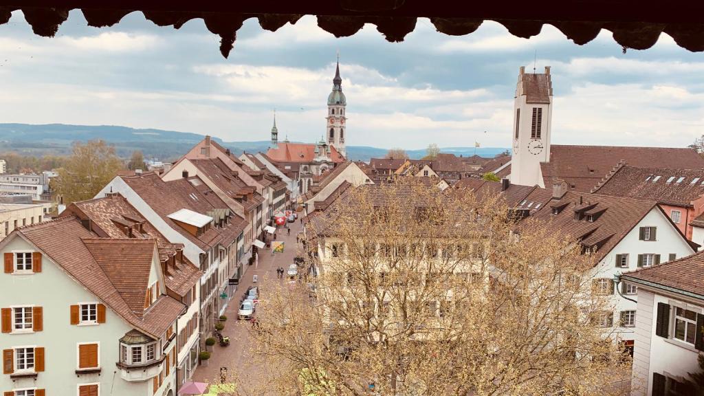 Frauenfeld Apartment | herziges Apartment mitten im schoenen Thurgau