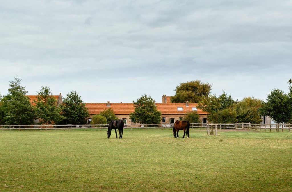 Slijpe House | Het Zwaluwnest