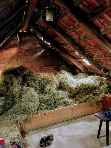 Berka/Werra Other | HEUHOTEL FARM Gemeinschaftsbad Own Sleeping bag Free Wifi