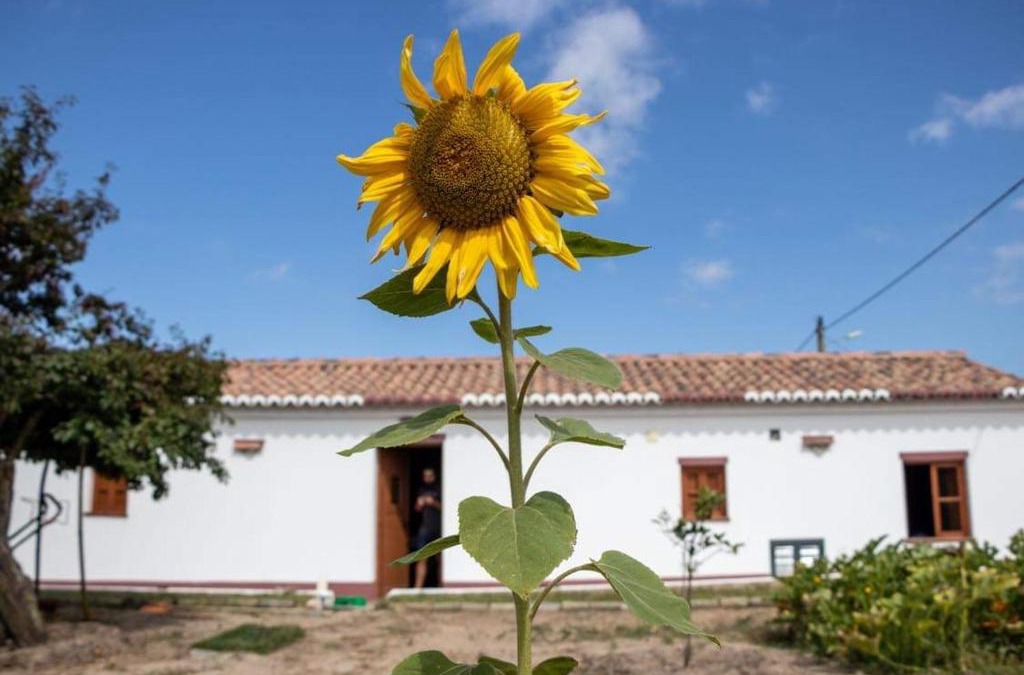 Baiona House | Heu’s Monte