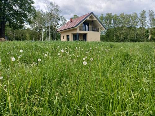 Tisina House | Hiša Štolc