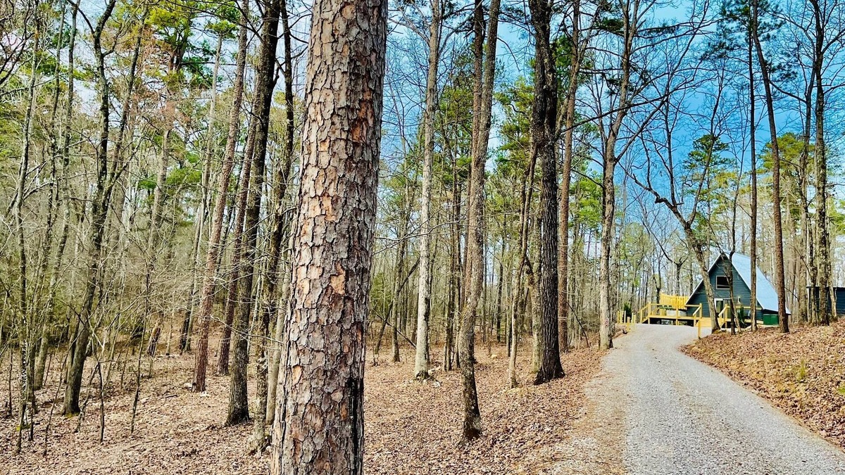 Royal Cabin | Hidden A-Frame w/hot tub-Near Pristine Lake Ouachita and Hot Springs National Pk