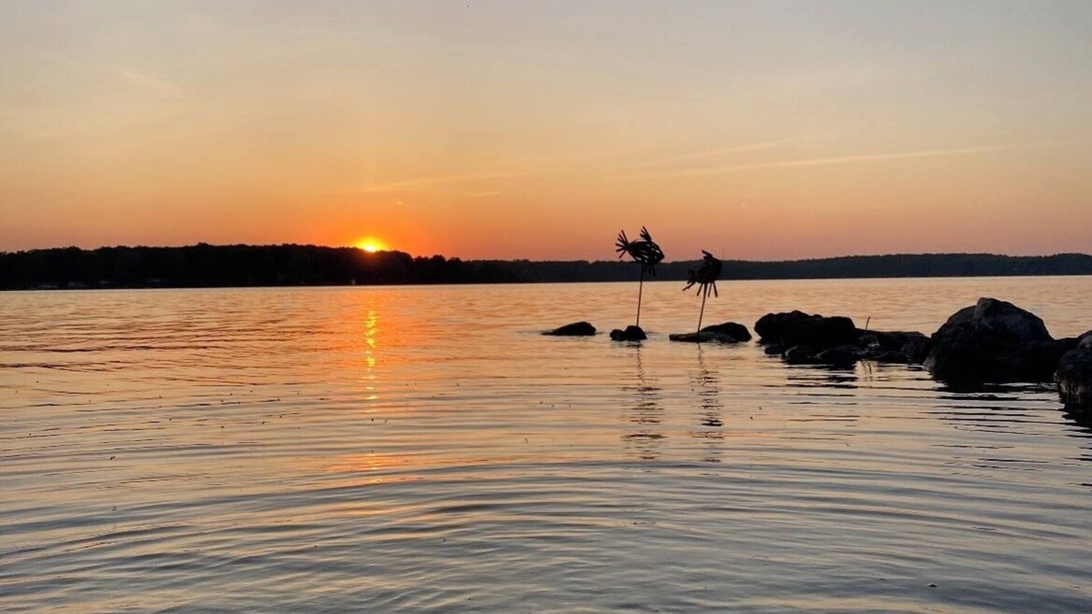 Flesherton Cottage | Hidden Gem Lakefront cottage 1-1/2 hrs N of GTA. Perfect for Family getawaynnn
